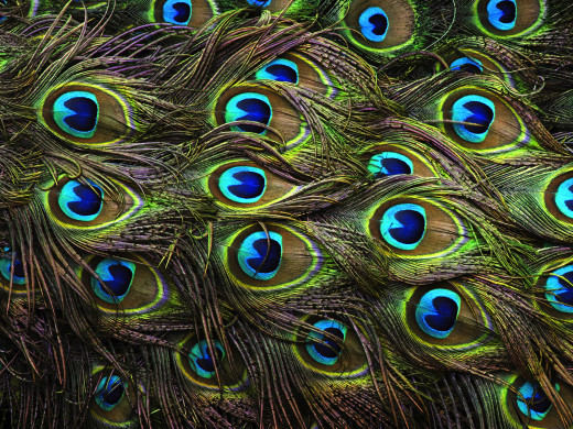 363201 (a): :1600x1200